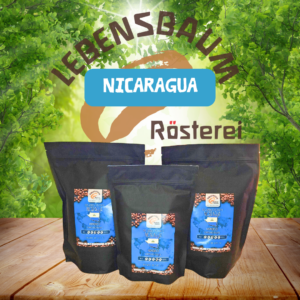 Lebensbaum_Kaffee_Nicaragua